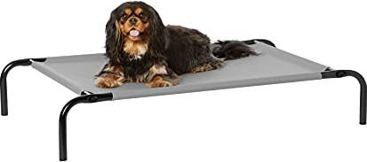 Amazon Basics Kühlendes erhöhtes Haustierbett per Hund, Größe S, L 90 x B 55 x H 19 cm, Grau
