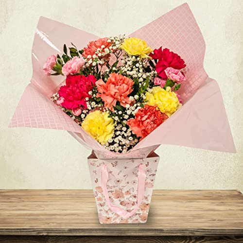 Vibrant Carnation Bouquet - Fresh Flowers with Free Next Day Prime Delivery - Perfect for Birthdays, Anniversaries, and Thank You Gifts