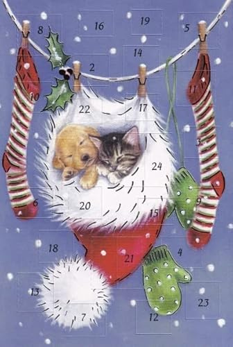 Wunderschöne Adventskalenderkarten Tierkinder 5 Stück Doppelkarte Weihnachten