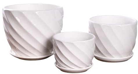 Lot de pièces de plantes en pot noir avec plateau - Grande taille - Arbre riche - Jardinière créative - Plante succulente - Pot de fleurs pour orchidées (blanc, taille unique)