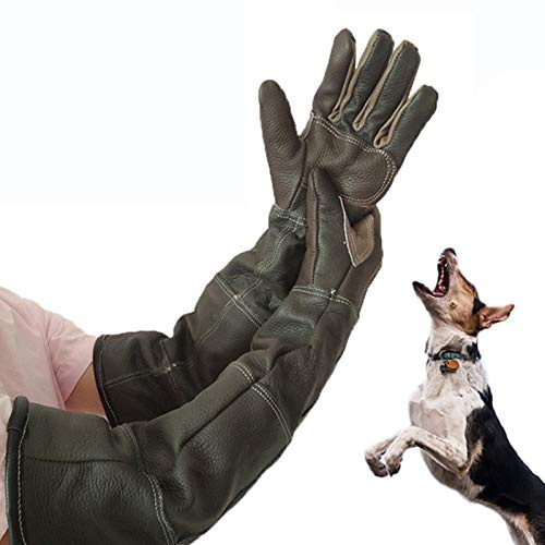 Jannyshop Anti-beißende Handschuhe für Katze und Hund Lederhandschuhe Anti-Biss/Kratzer Gardening Wildtiere Schutzhandschuhe