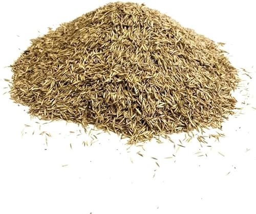 Front Lawn Grass Seed 500g Ryegrass Free Fine ( Covers 10 Square metres ) SMH