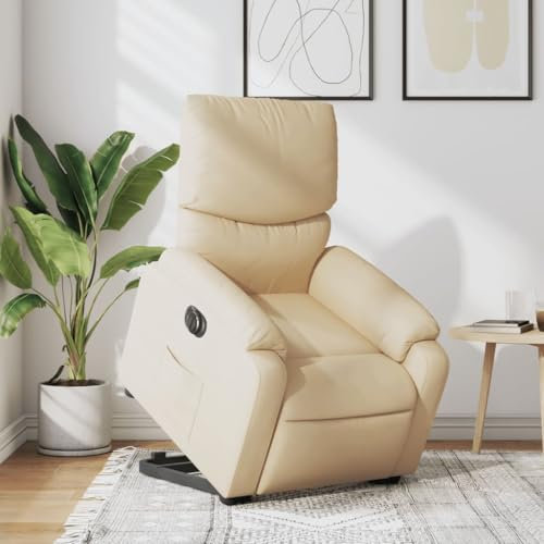 IKAYAA Elektrischer Fernsehsessel mit Aufstehhilfe Elektrisch Verstellbar Sessel Wohnzimmer Relaxsessel mit Liegefunktion Aufstehsessel Relaxliege Schlafzimmer Liegesessel Lesesessel Bequem