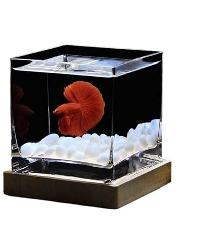 ZBORAVPIX Piccolo Serbatoio per Pesci, Acquario in Vetro Quadrato con Coperchio 15x15x15cm, Acquario for Pesci Tropicali Betta da Tavolo, Vaso idroponico