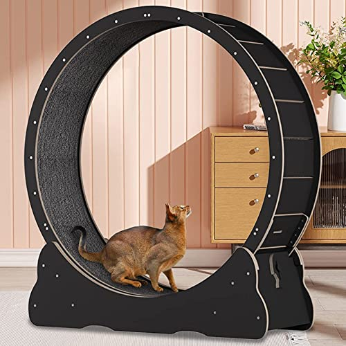 ExoticaBlend Katzenlaufrad aus Holz -Spiel- & Trainingsgerät für Katzen, Ultra-leises Laufen für Katze Gesund,Black-S