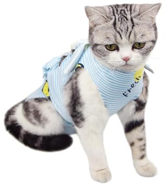 Katzen-OP-Body nach Kastration - Atmungsaktiver Anti-Leck-Schutz für Wundheilung (Alternative zu Halskragen, Tierklinik-geeignet, waschbar) (S, blau gestreifte Ananas)