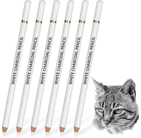 6 st Raderpenna för Konstnärer, Precision Suddegummi Penna för Skissning, Grafit och Kolritning