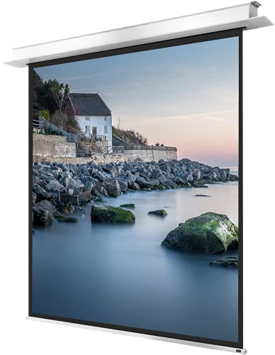 celexon Pantalla para Escuela, proyección, presentación y Cine en casa empotrable motorizada Profesional Plus hasta 4K - 200 x 200 cm - 1:1