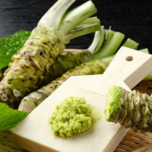 wasabi - winterharte garten balkon 500samen