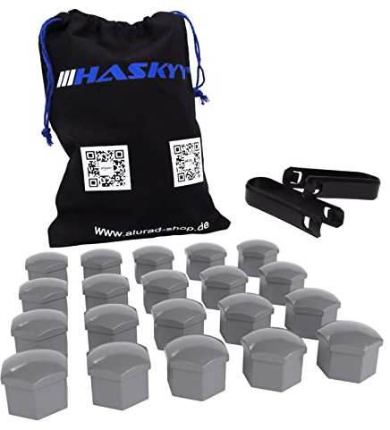 HASKYY 20x Silber Radschraubenkappen SW19 Radmutternkappen UNIVERSAL Kunststoff Kappen Abdeckungen - passend zu Allen Auto Radschrauben Radmuttern mit Schlüsselweite 19 Made IN Germany