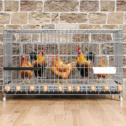 Pollaio per Galline da Esterno 10 Galline, Gabbia per Polli con Ruote e Raccoglitore per Uova, Recinto per Conigli da Fattoria All'aperto nel Cortile(150cm/59.0in)