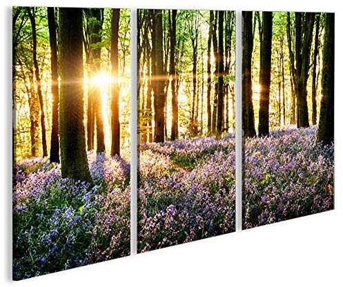 islandburner Bild Bilder auf Leinwand Lavendel im Wald 3p XXL Poster Leinwandbild Wandbild Dekoartikel Wohnzimmer Marke