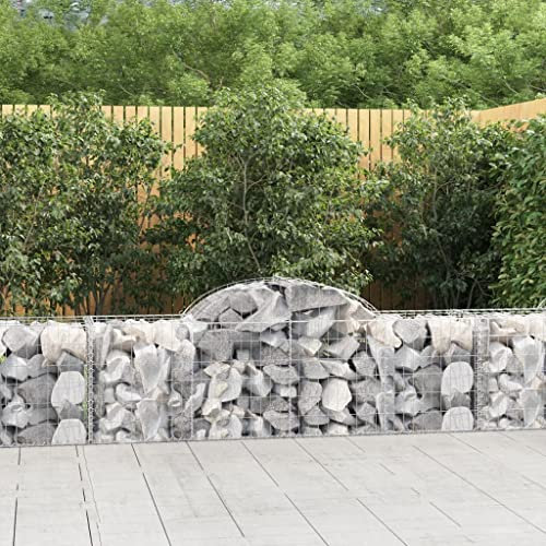 FUDUGEHMIOFWFJJ hochbeet schmal,fertigteich,pflanzkübel rund,Gabionen mit Hochbogen 14 STK. 200x50x60/80 cm Verzinktes EisenGeeignet für Garten, Terrasse, Schlafzimmer, Wohnzimmer