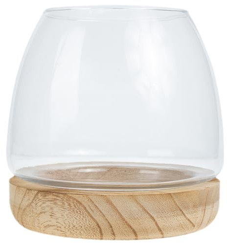 Sosoport Vase en Verre Hydroponique pour La Propagation des Plantes Terrarium Récipient Exquis pour Plantes Aquatiques pour La Maison Le Bureau Et Le Jardin