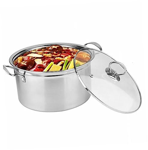 Warmhm 1pezzi Pentola per Zuppa Multifunzione Coperchio in Vetro Temperato Base Antiaderente in Acciaio Inossidabile per Induzione Gas e Fornello Piastra Facile da Pulire e Mantenere Arge