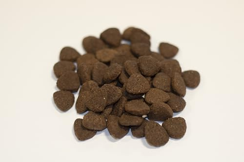 Paws Grain-Free Grass-Fed Angus Beef Dog Kibble with Superfood Veggies - UK Made Puppy Food