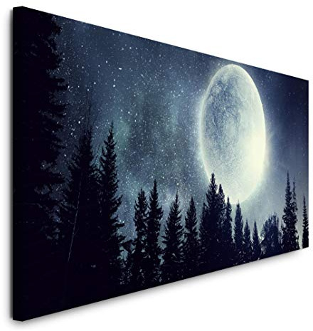 Paul Sinus Art GmbH Vollmond im Wald 120x 50cm Panorama Leinwand Bild XXL Format Wandbilder Wohnzimmer Wohnung Deko Kunstdrucke
