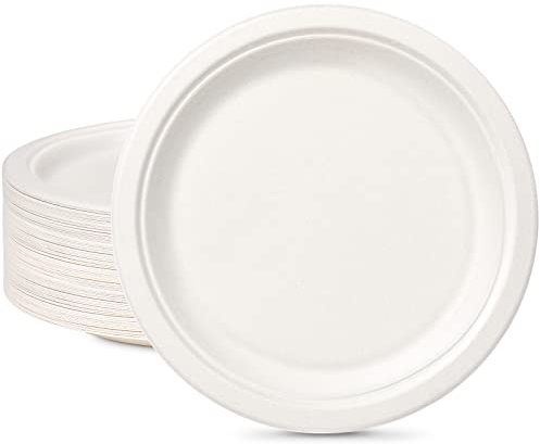 Lot de 100 assiettes jetables en carton de 26 cm, rondes, blanches, grandes assiettes jetables en canne à sucre, assiettes jetables, assiettes de fête