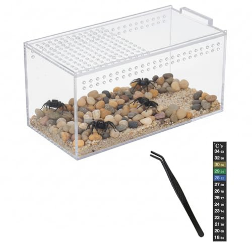 Brabtod Acrylic Jumping Spider Enclosure Kit,Reptile Tank Escape Proof,Breathable Reptile Terrarium-High Transparency-Tweezer & Temp Sticker Included【No Assembly】