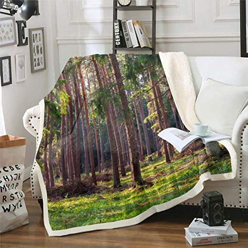 Manta de forro polar para silla, sofá, árboles, diseño de sherpa, decoración de paisajes naturales y difusa cobija de regalo para amantes de la naturaleza, manta de felpa individual de 50 x 152 cm