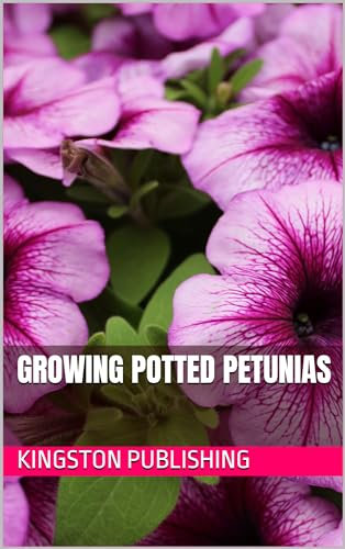 Growing Potted Petunias (Stunning Potted Flowers)