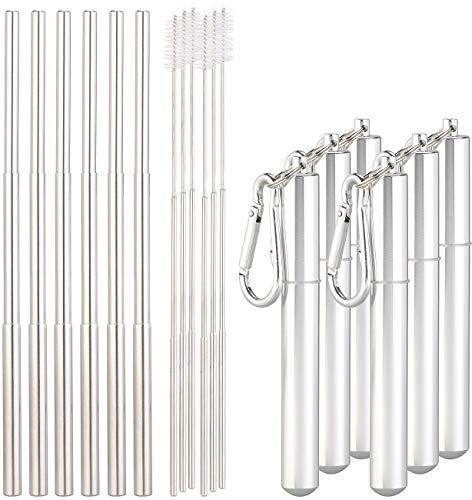 Rosenstein & Söhne Strohhalm: 6er-Set Teleskop-Edelstahl-Trinkhalme mit Bürste, Schlüsselanhängerbox (Trinkhalme wiederverwendbare, Metall-Teleskop, Eis)