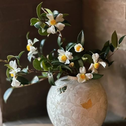kamelie, kamelien - deko wohnzimmer balkon schattenpflanzen balkonblumen balkonpflanzen frühlingsblumen bonsaibaum kletterpflanzen zierblumen für sonnige plätze exotische bio 35samen