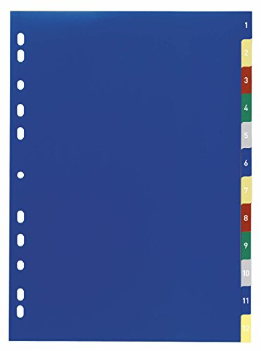 Durable 675027 Registro de números con lengüetas de color, PP, 1 - 12, de color, A4, 230 x 297 mm, 12Bl, 20 pcs