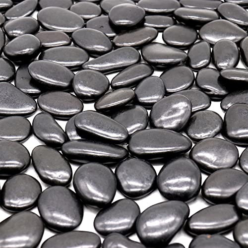 Premium Pebbles Pietre nere per piante Ciottoli decorativi lucidi neri da 1 a 5,1 cm - 4,5 kg per piante, giardino, paesaggistica, piante grasse, vasi, piante (MD (da 1 a 2 pollici), nero lucido, 10)