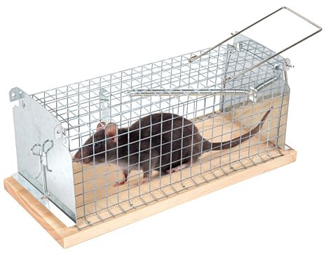 BESTIF Rattenfalle Lebendfalle für Ratten & Mäuse – Robuste Mausefalle lebend zur effektiven Schädlingsbekämpfung | Tierfreundlich & Wiederverwendbar 30x12x12cm