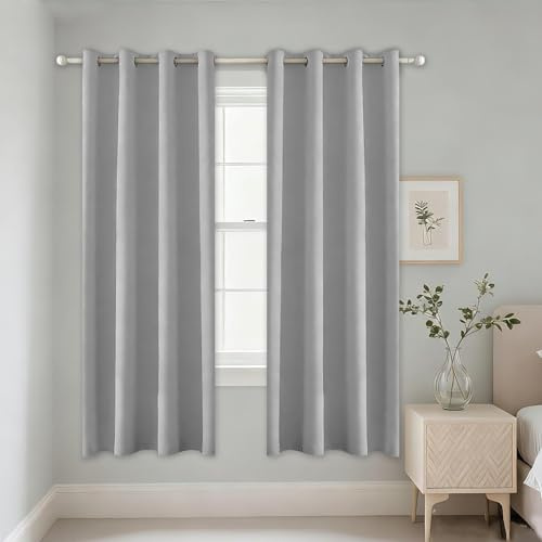 Alaoo Cortina Opaca Dormitorio,Cortinas Termicas Aislantes 2 Pcs117x137CM | Cortinas Salon Modernas con Ojales,Cortinas,para Dormitorio,Comedor, Gris