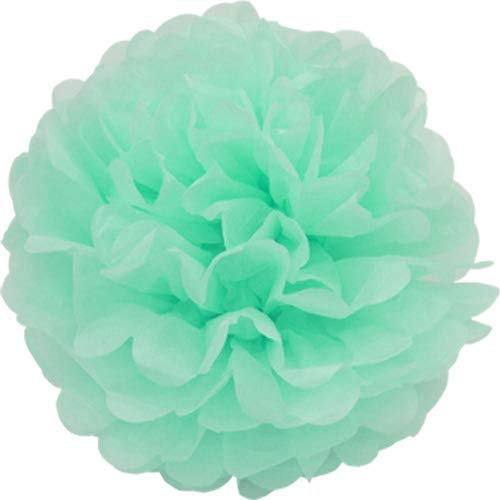 Creativery 10 Papier Pompons 25cm Set (mintgrün/Mint 513) // Pompoms Bommel Kugel Seidenpapier Pom Pom Deko Hängedeko Raumdeko Blumen