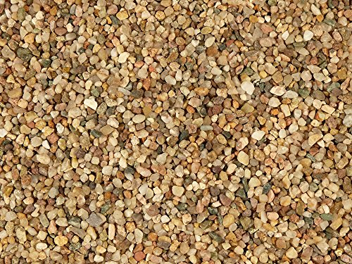 Zoomeister Aquarienkies - naturfarben 5kg 2-4 mm - Bodengrund Aquarium-Kies Kies Aquarium
