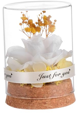 VALICLUD Copertura in Vetro Con Fiore Immortale Rosà Decorazione Creativa Per Casa Ufficio Regalo Con Cupola Di Vetro Per San Natale