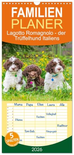 Familienplaner 2026 - Lagotto Romagnolo - der Trüffelhund Italiens mit 5 Spalten (Wandkalender, 21 cm x 45 cm), CALVENDO: 13 traumhafte Fotos von ... der Rasse durch das Jahr (CALVENDO Tiere)