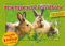Mein Tierkinder-Puzzlebuch für Kinder ab 6 Jahren: Tolle Infos und 5 Puzzles mit je 48 Teilen. Lernen und spielen mit lern-Effekt