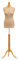 Female Tailors Dummy Cream Size 8/10 Dressmakers Fashion Students Mannequin Display Bust With A Light Wood Base