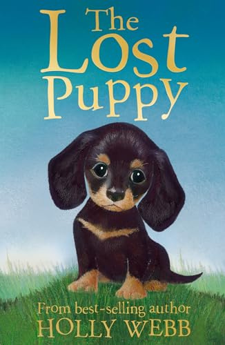 The Lost Puppy: 20 (Holly Webb Animal Stories, 20)