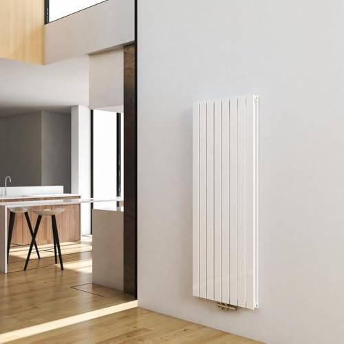 Biubiubath Design Heizkörper Flach, 1600x602 mm Vertikal Flachheizkörper mit Mittelanschluss, Doppellagig Paneelheizkörper Wandheizkörper für Bad, Schlafzimmer & Wohnzimmer, Weiß, 2040W