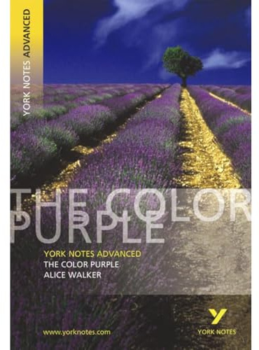Alice Walker 'The Color Purple': York Notes Series (York Notes Advanced)