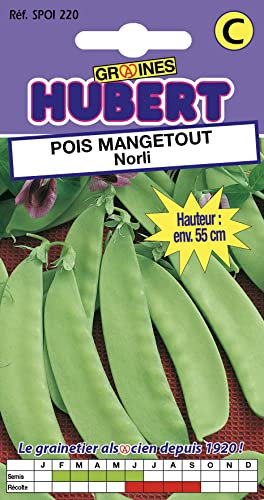 50 Graines de Pois mangetout Norli - Format Petit Jardin