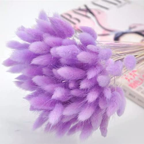 YIWOYI 50 natürliche getrocknete Blumen, Plüsch, bunt, Kaninchenschwanz, Gras, Fuchsschwanz, lange Bündel, künstliche Pflanzen, Dekoration (Hellviolett)