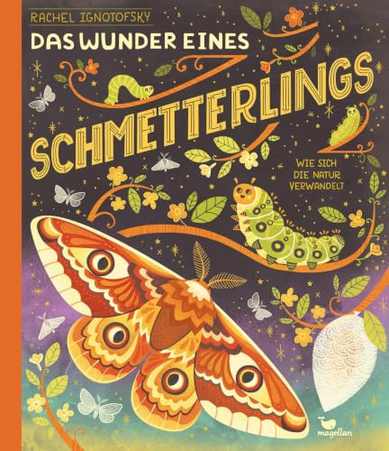 Das Wunder eines Schmetterlings - Wie sich die Natur verwandelt: Ein Sachbilderbuch für Kinder ab 6 Jahren über Insekten (Wunder der Natur)