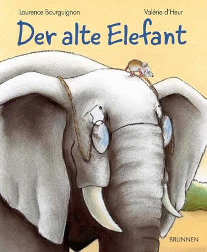 Brunnen Verlag GmbH