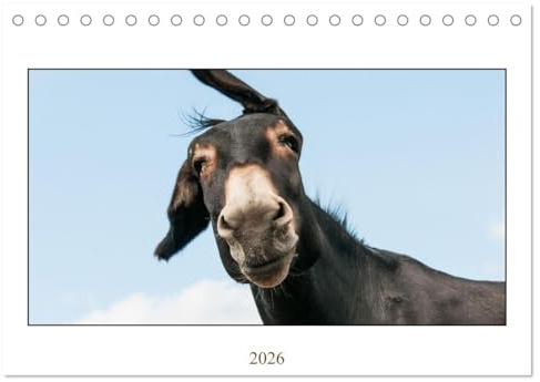Esel Lebensfreude - Spaß mit Langohren (Tischkalender 2026 DIN A5 quer), CALVENDO Monatskalender: Besonders faszinierende Esel Fotos (CALVENDO Tiere)