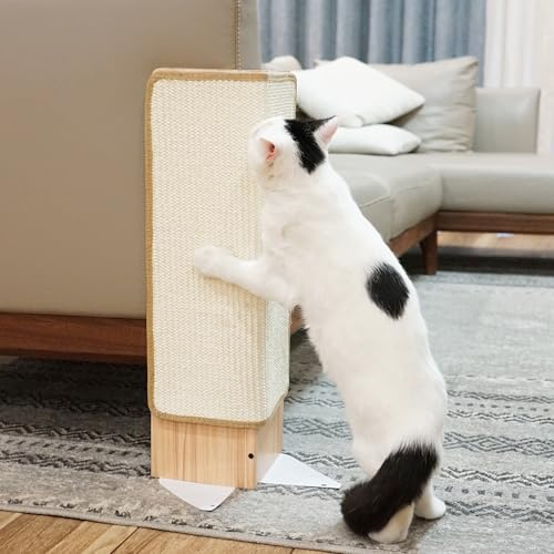 PETKARAY Kratzbrett Katzen, Eckkratzbaum aus Sisal, Katzenkratzbaum für den Innenbereich, Wandkratzbaum, Möbelschutz mit Katze, Mintgrün (kleine Größe)