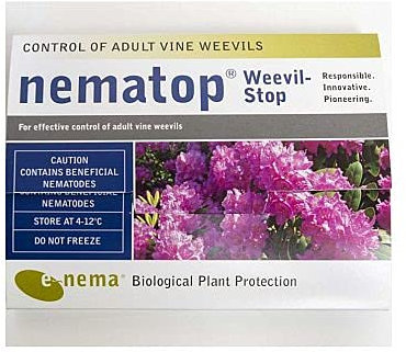 Nematop vine weevil trap (1)