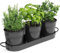 MoFarbe Herb Pots for Kitchen & Windowsill | Kitchen Herb Garden | Indoor Herb Planter | Includes Drain Hole | Flower Pots Garden Pots for Basil, Mint, Parsley and More (Black)