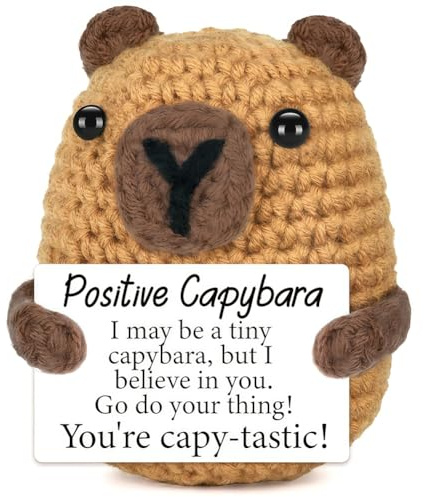 YNOUYRS Capybara Häkeltier, Regali positivi, Supporto emotivo Alternativo al Pigro, Regalo di addio per Famiglia Uomo Donna Bambino Coppia Collegue