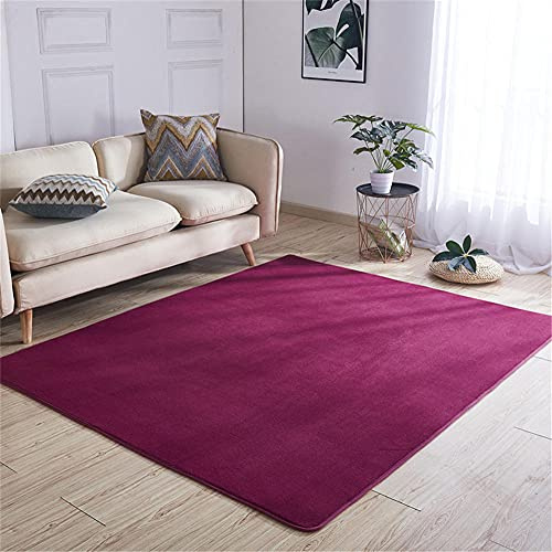 Alfombra de Terciopelo Coral Grueso de Color sólido Calidad Vino tinto suave Suave Lavable Antideslizante Grande Rugs Minimalista Moderna Sala De Estar Dormitorio Tatami Gateando Estera -60×90cm